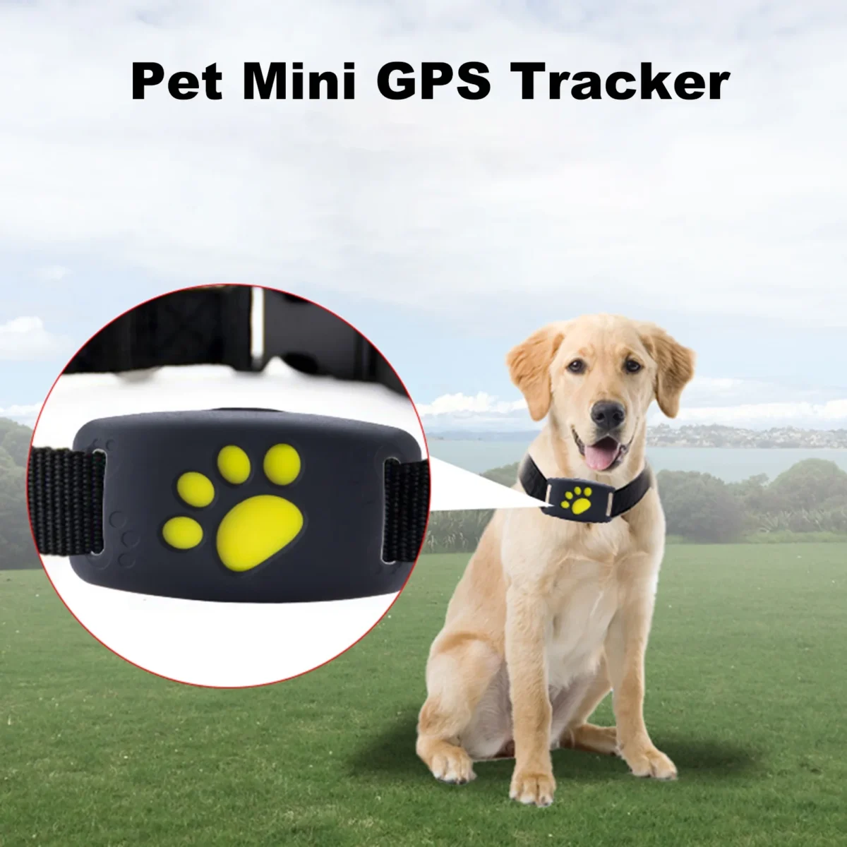 Cat Gps Tracker Collar Pet Location Tracking Device For Dogs