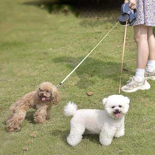 Dual Dog Rope Leash with Light Retractable