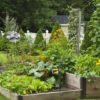 Automatic Motion-Activated Animal Repellent Garden Sprinkler